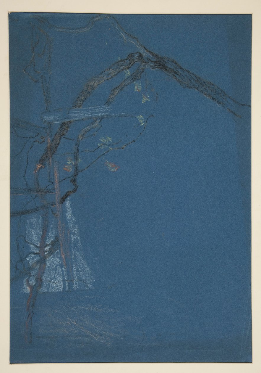 Étude de branches d