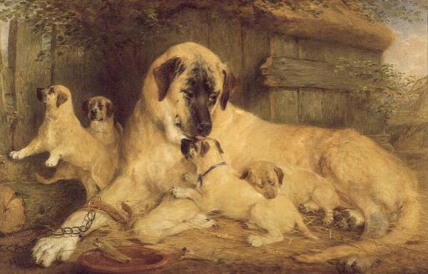 Un seul toucher de la nature rend le monde entier parent - Edwin Frederick Holt