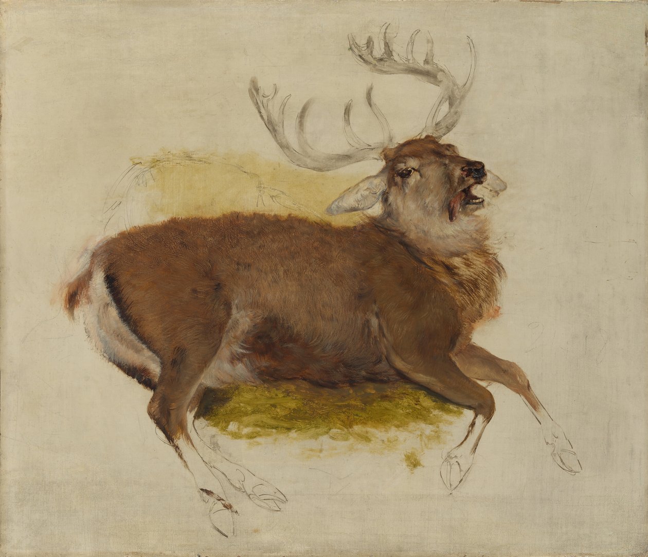 Cerf mourant, vers 1830 - Edwin Landseer