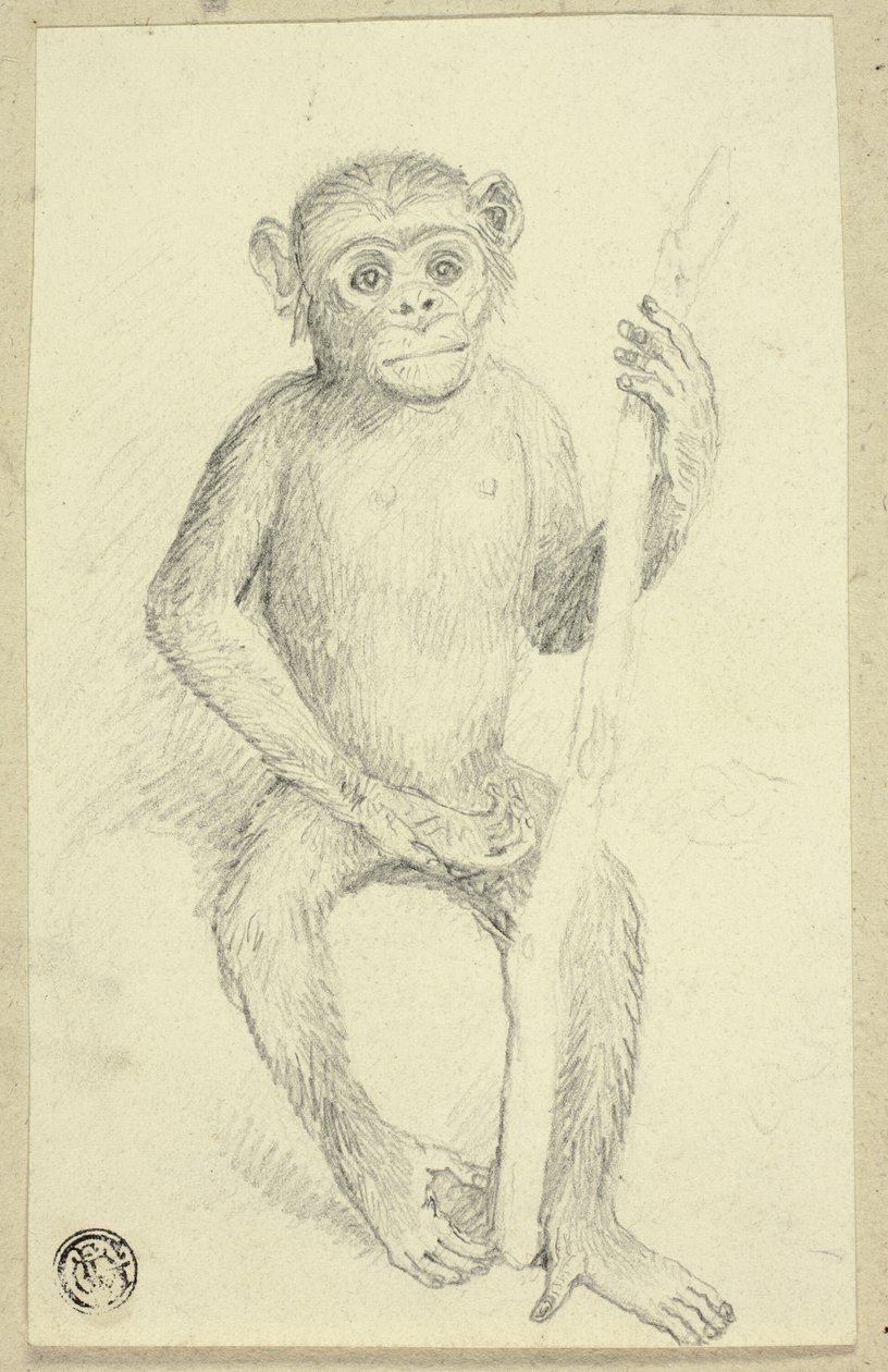 Orang-outan - Edwin Henry Landseer
