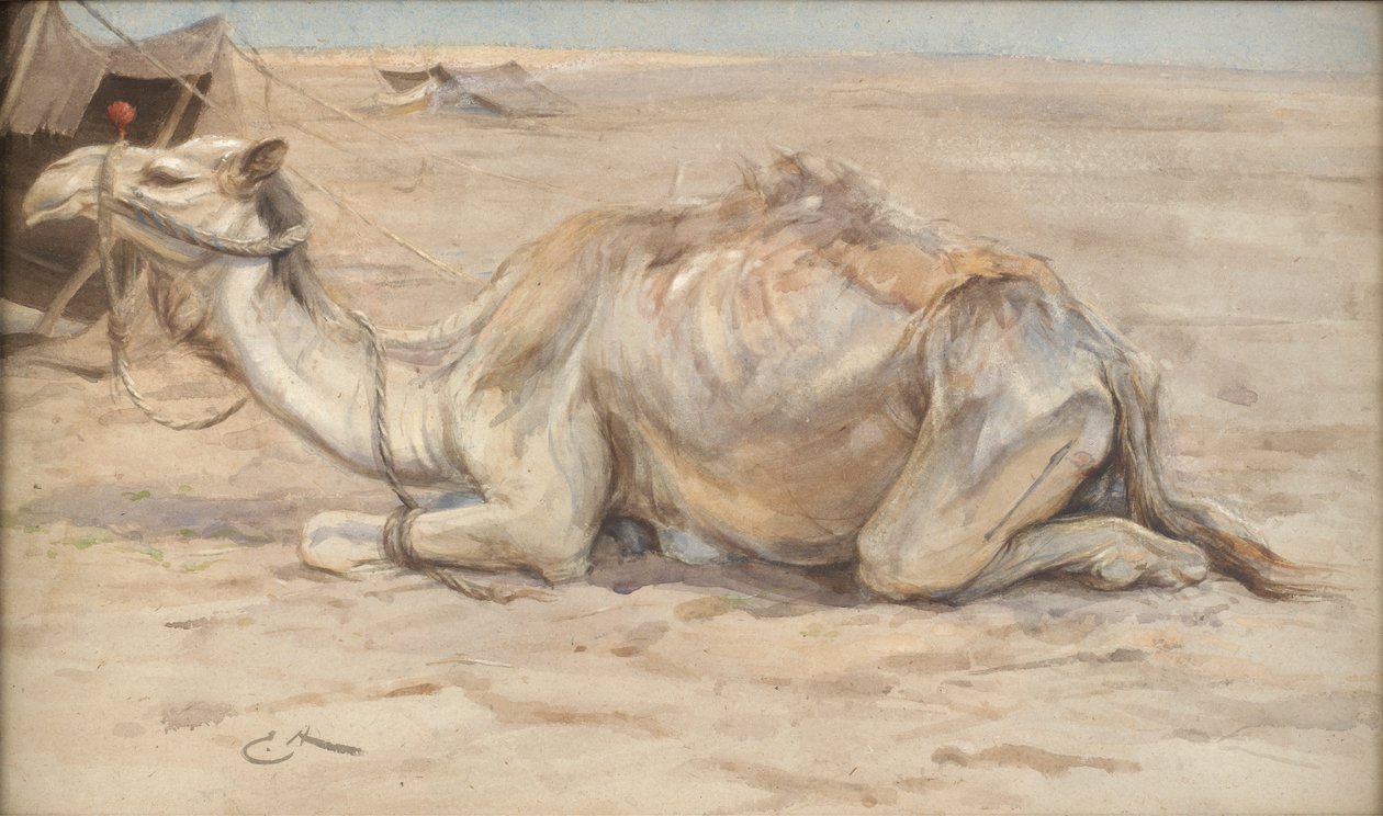 Chameau au camp des artistes avec des Bédouins - Edwin John Alexander