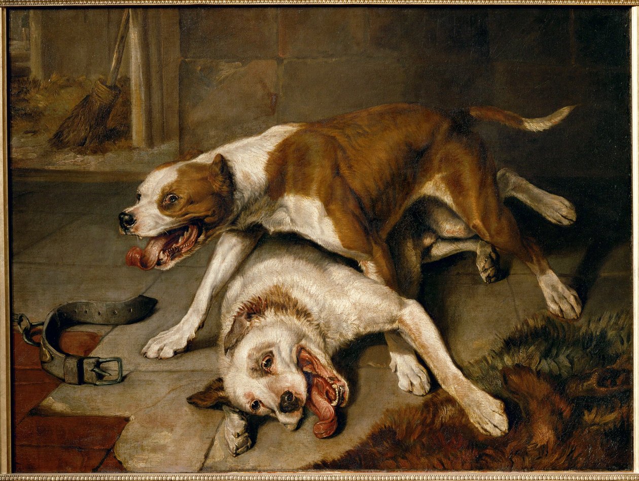 Chiens se battant, reprenant leur souffle - fighting dogs pausing for breath ... - Edwin Landseer