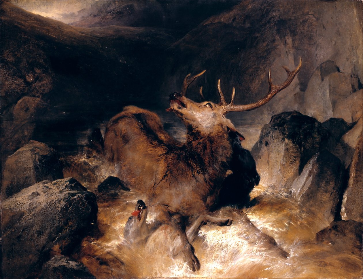 Cerfs et lévriers écossais dans un torrent de montagne - Edwin Landseer