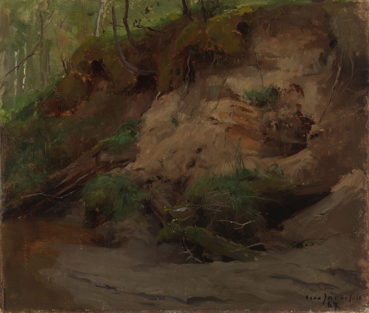 Forêt avec un versant sablonneux - Eero Järnefelt