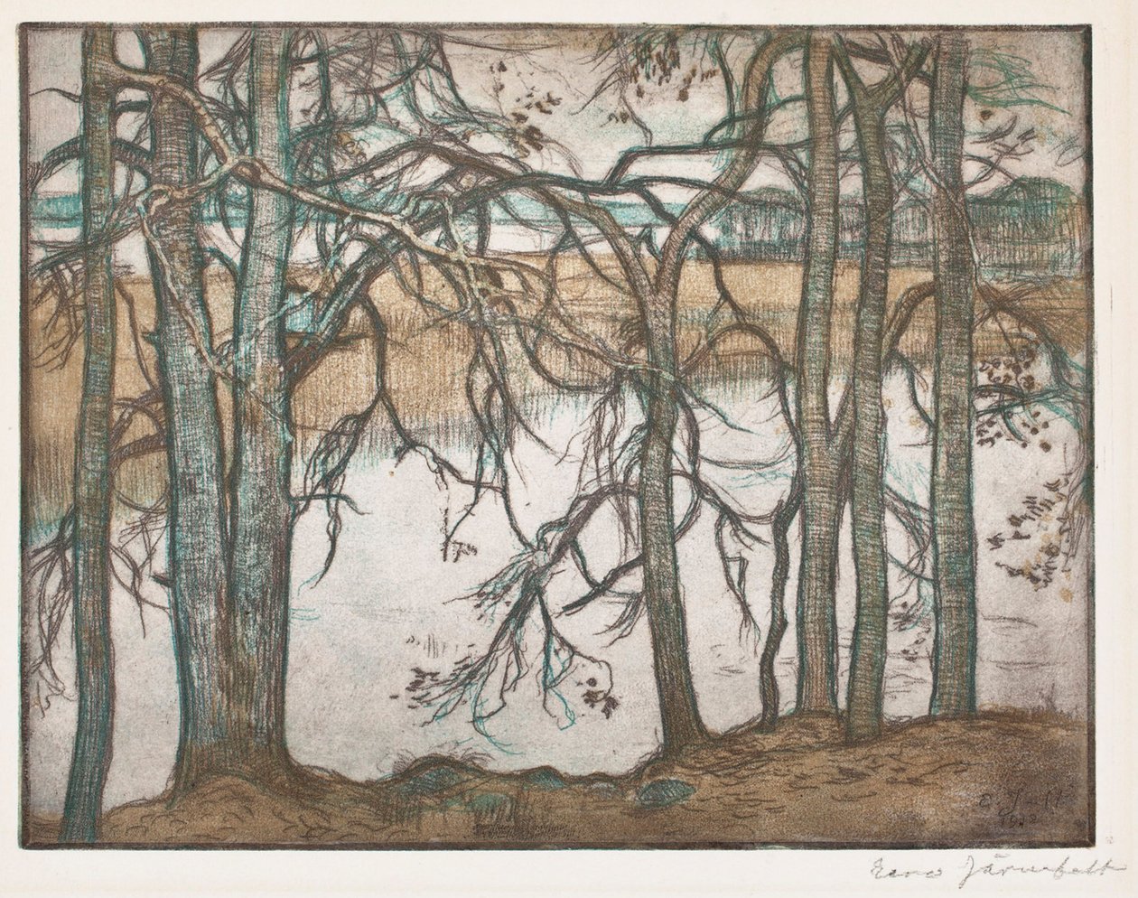 Rive du lac bordée de roseaux - Eero Järnefelt