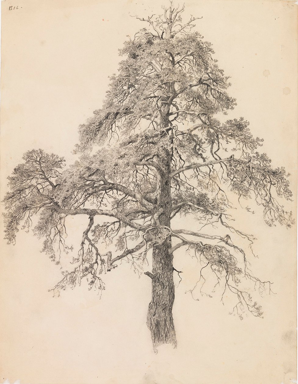 Cime de pin - Eero Järnefelt