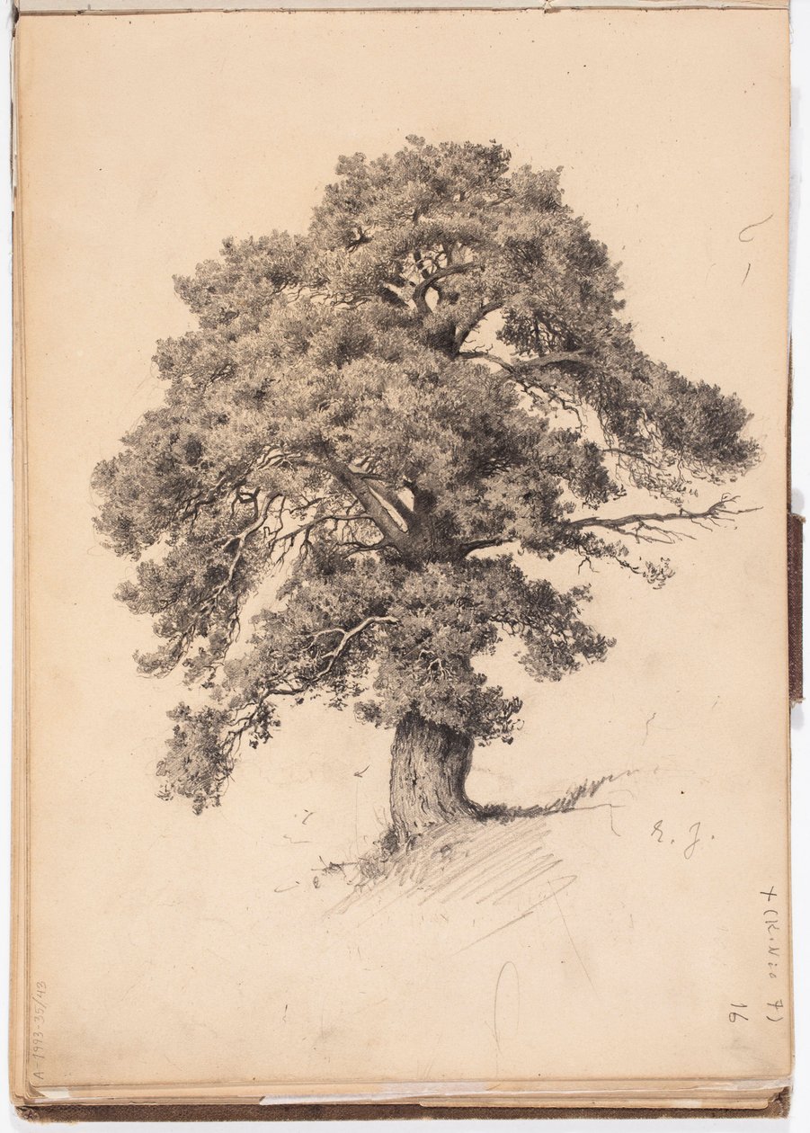 Pin, page du carnet de croquis de Järnefelt - Eero Järnefelt