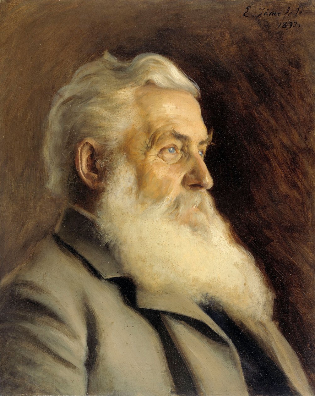 Portrait de M. Ahnger - Eero Järnefelt