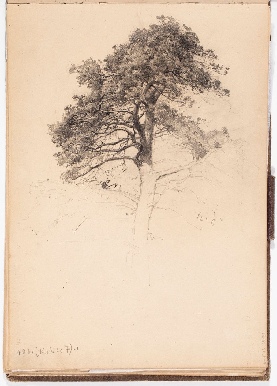 Cime d’un pin, page du carnet de croquis de Järnefelt - Eero Järnefelt