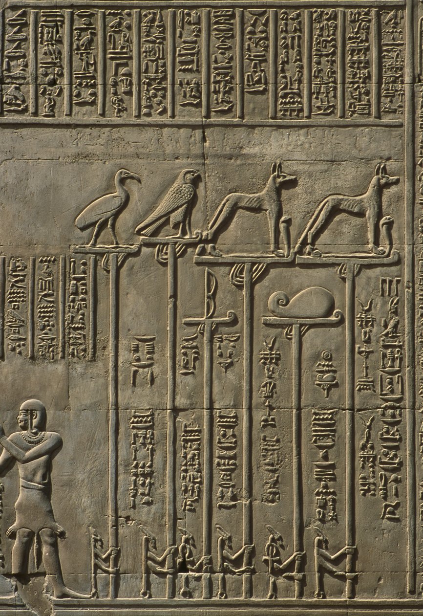 Détail d