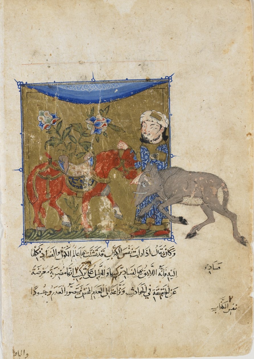 Le sanglier et le cheval, folio du Sulwan al-Muta par Ibn Zafar, dynastie mamelouke, vers 1335 - Egyptian