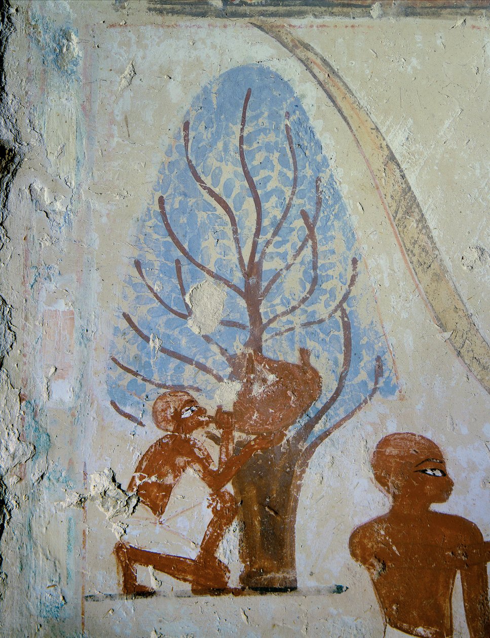  - Egyptian 18th Dynasty