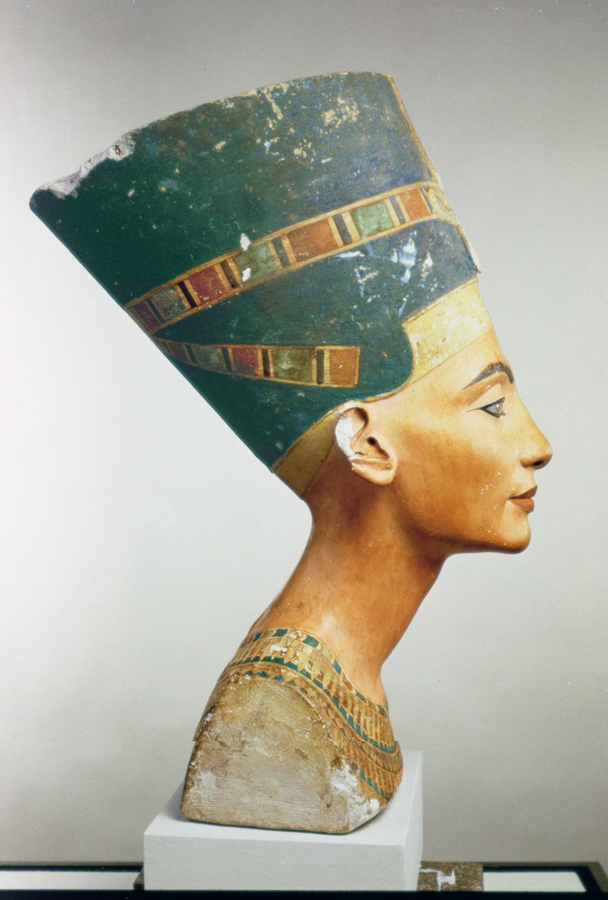 Buste de la reine Néfertiti, vue de côté, du studio de Thoutmôsis à Tell el-Amarna (calcaire peint) - Egyptian 18th Dynasty