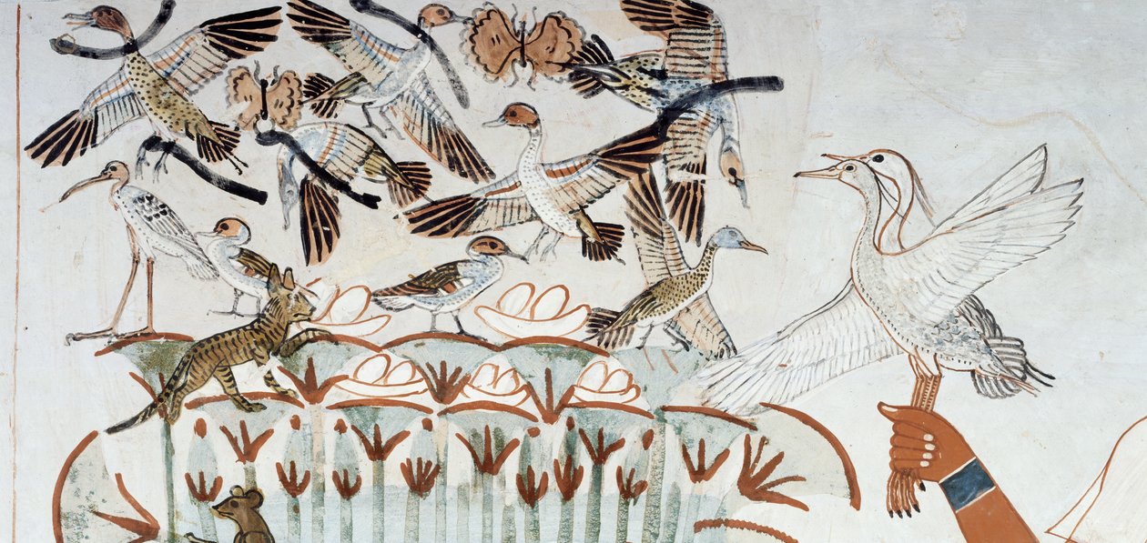 Canards, nids, papillons, chats et rongeurs, détail de la scène de chasse et de pêche dans les marais, fresque, mur nord, chambre longitudinale, Tombe thébaine TT69, Sheikh Abd el-Qurna, Thèbes. Civilisation égyptienne, Nouvel Empire, XVIIIe dynastie. - Egyptian 18th Dynasty
