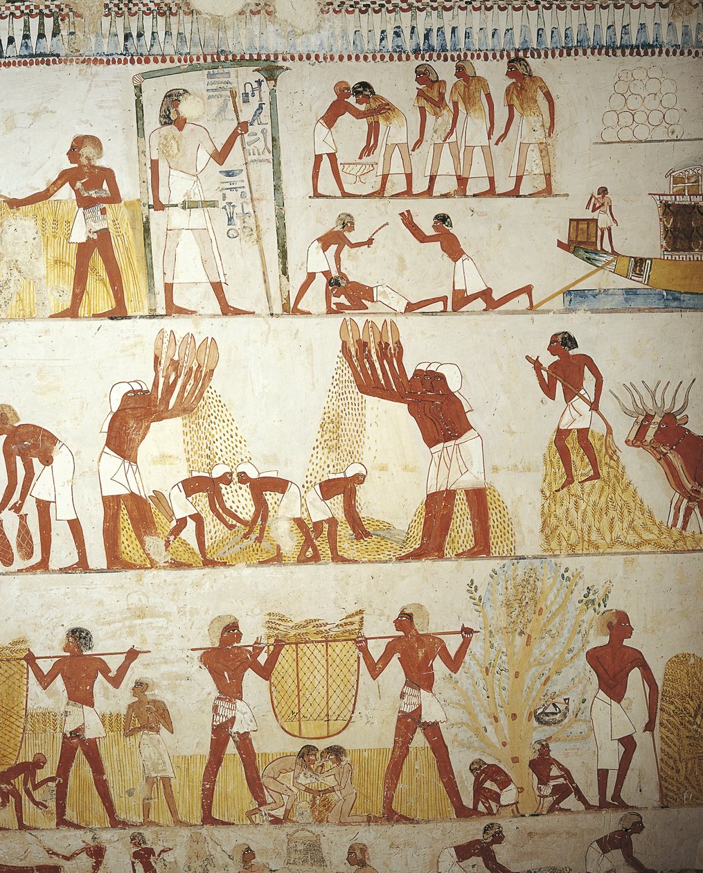 Égypte, Thèbes, Louxor, Sheikh 