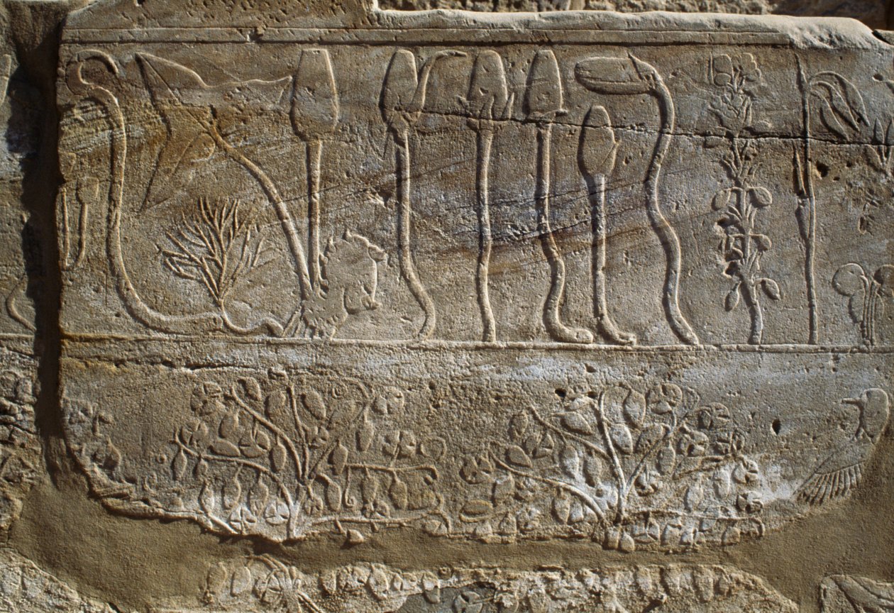 Relief d