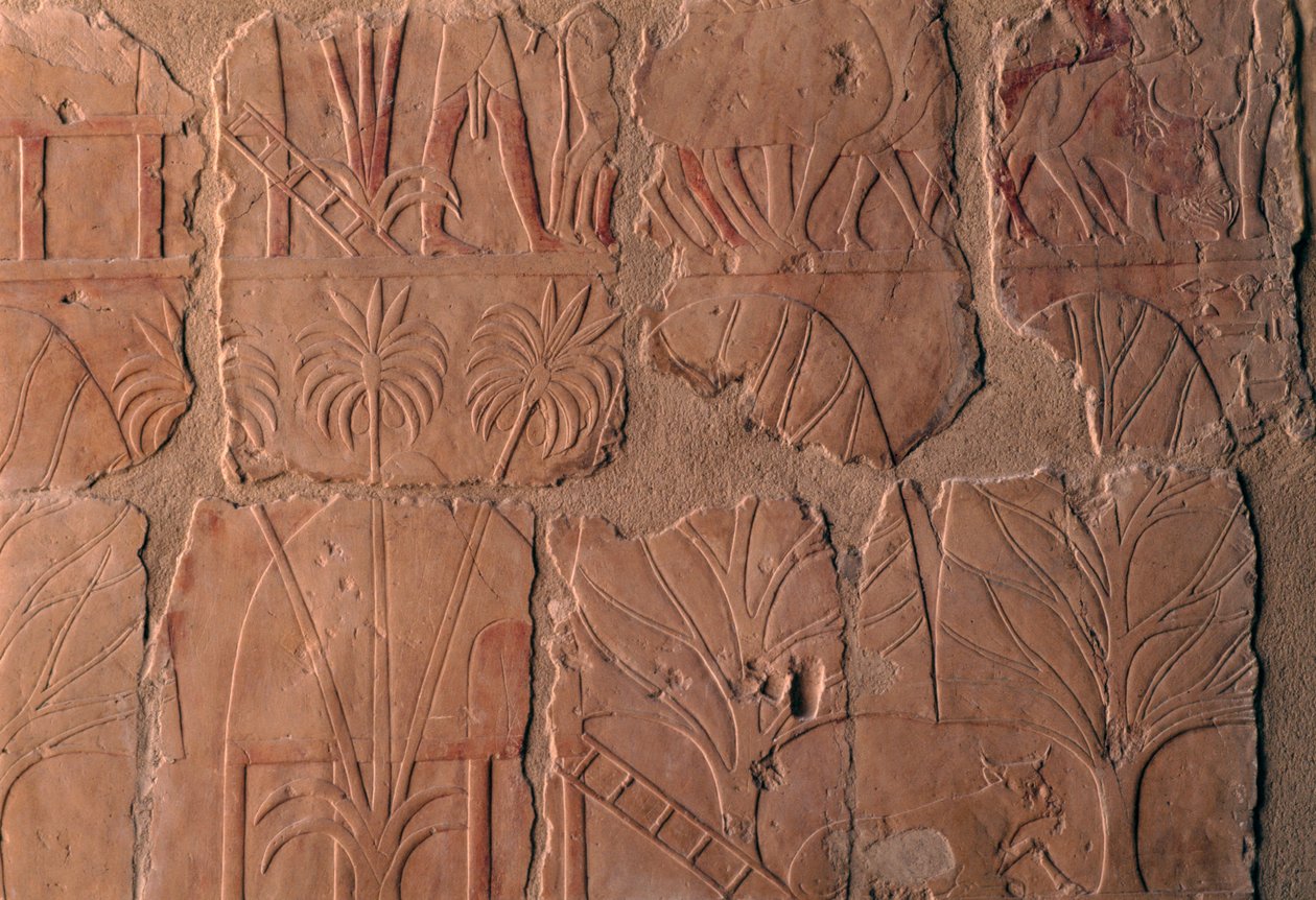Village avec huttes, scènes du royaume de Punt, mur sud de la colonnade centrale, Temple funéraire d