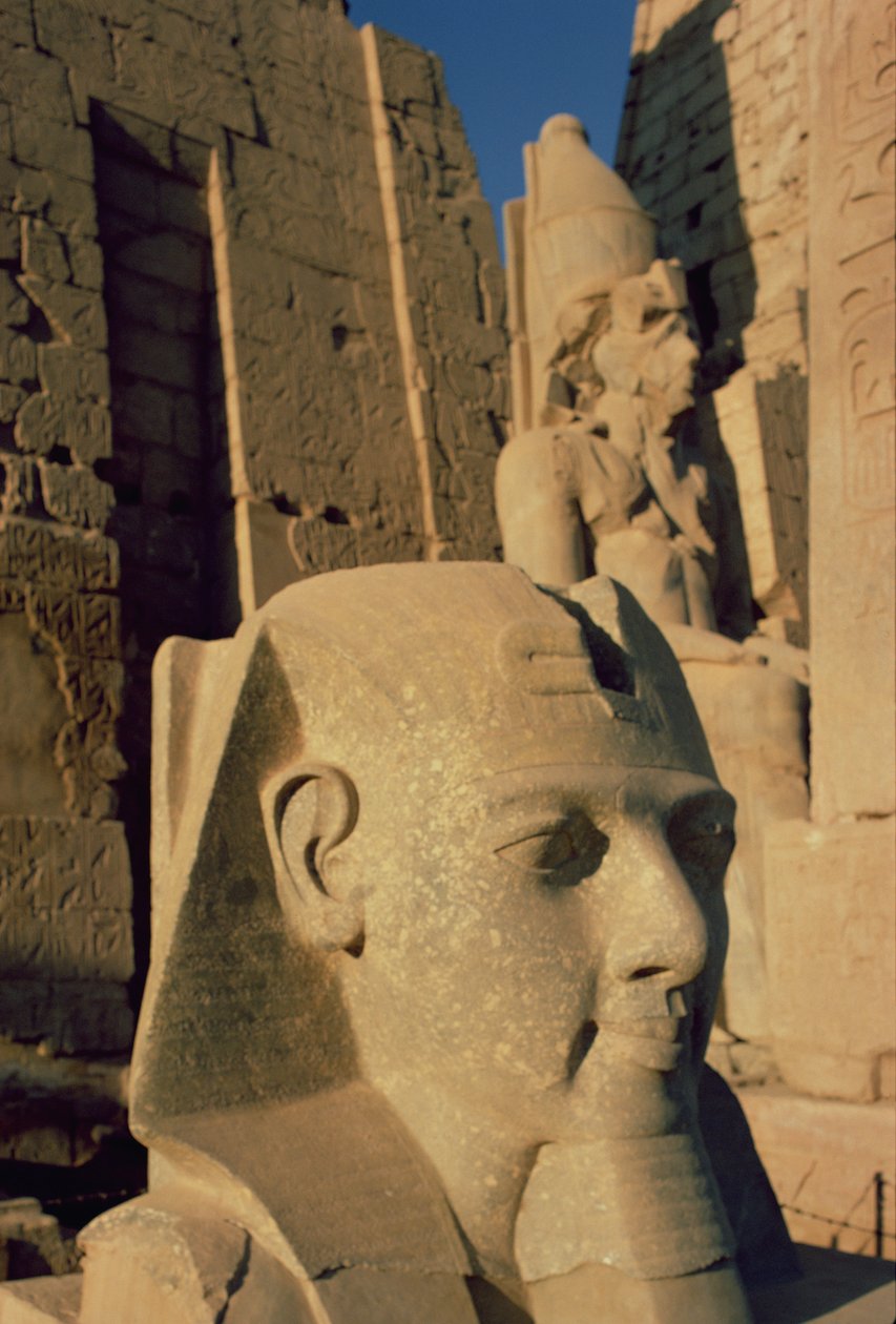 Tête colossale de Ramsès II (1298-32 av. J.-C.) Nouvel Empire - Egyptian 19th Dynasty