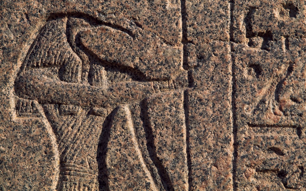 Représentation de Thot, détail de l