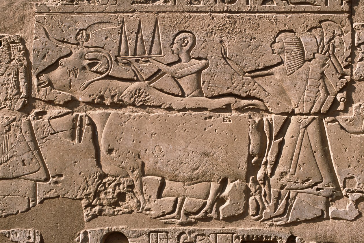 (détail) d