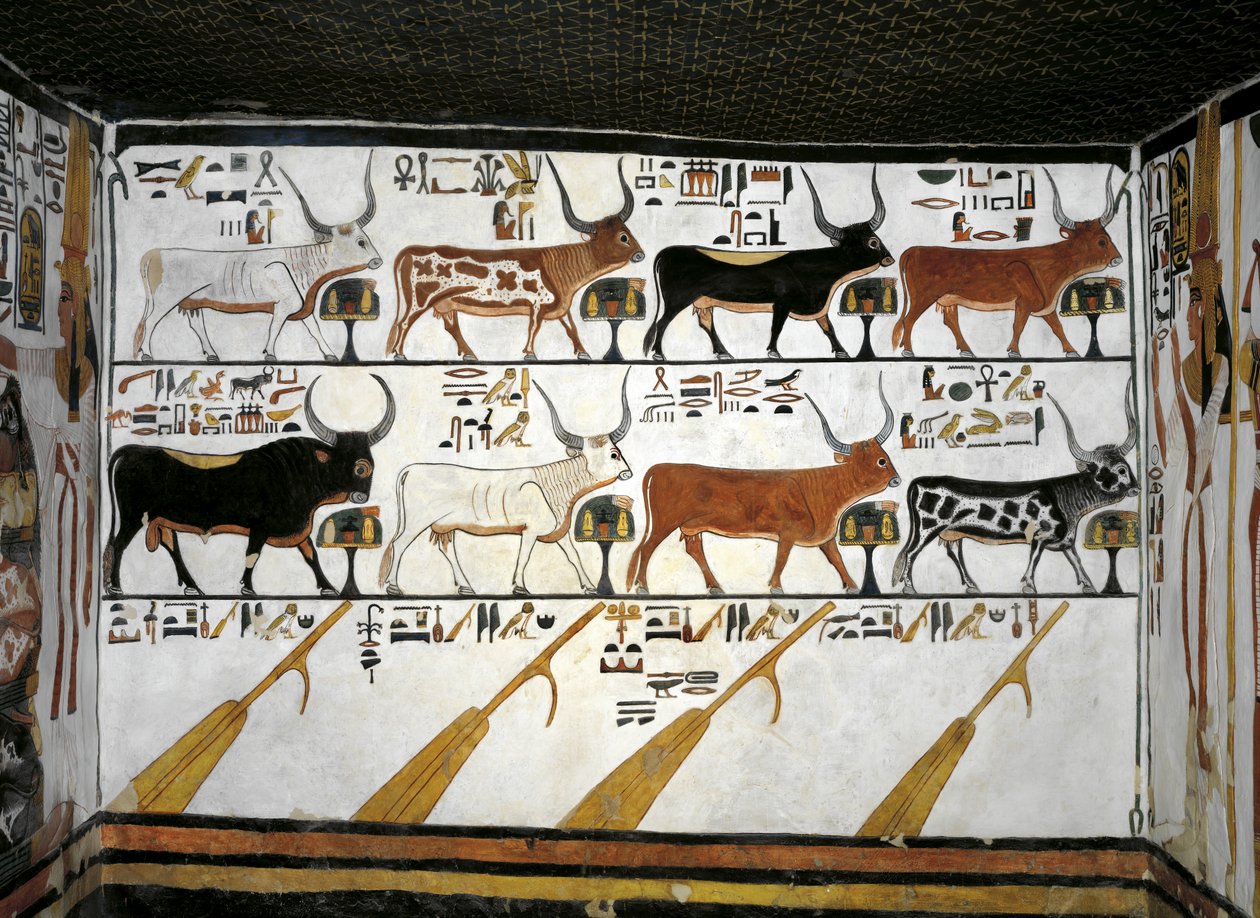 Égypte, Thèbes, Louxor, Vallée des Reines, Tombe de Néfertari, Annexe à l
