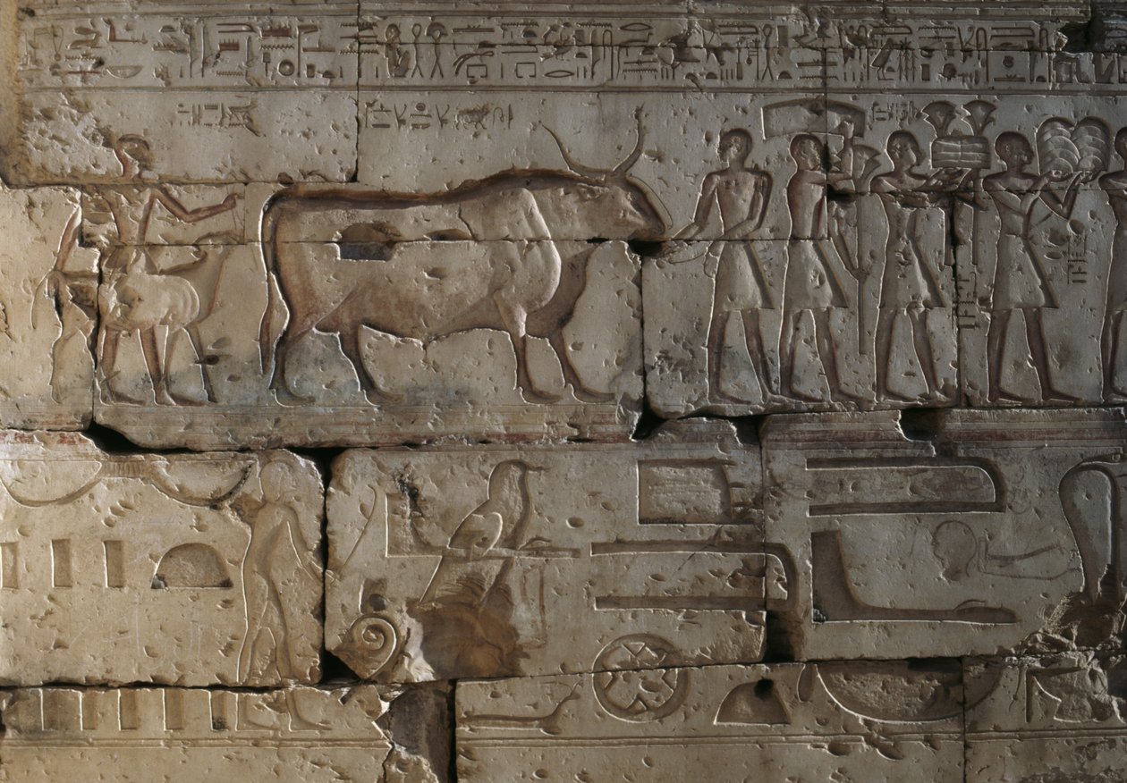 Relief, Temple de Ramsès II, Abydos, Égypte, civilisation égyptienne, Nouvel Empire, Dynastie XIX - Egyptian 19th Dynasty