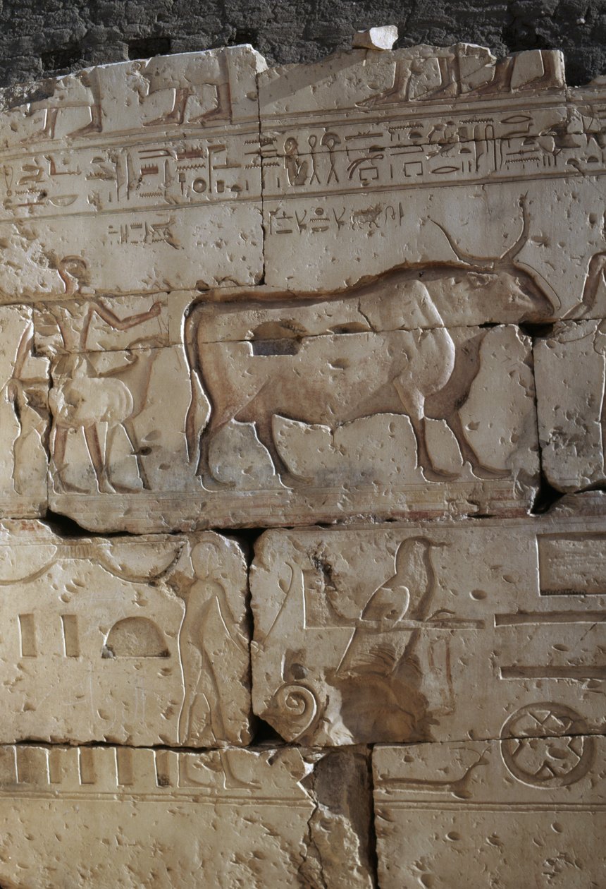 Relief, Temple de Ramsès II, Abydos, Égypte, Civilisation égyptienne, Nouvel Empire, XIXe dynastie - Egyptian 19th Dynasty