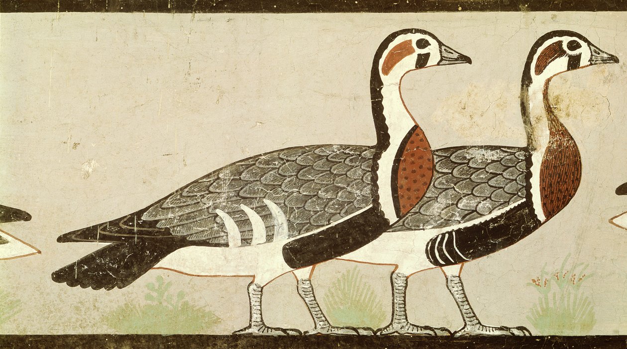Les oies de Meidum, de la tombe de Néfermaat et Atet, Ancien Empire, vers 2620 av. J.-C. (stuc peint) - Egyptian 4th Dynasty