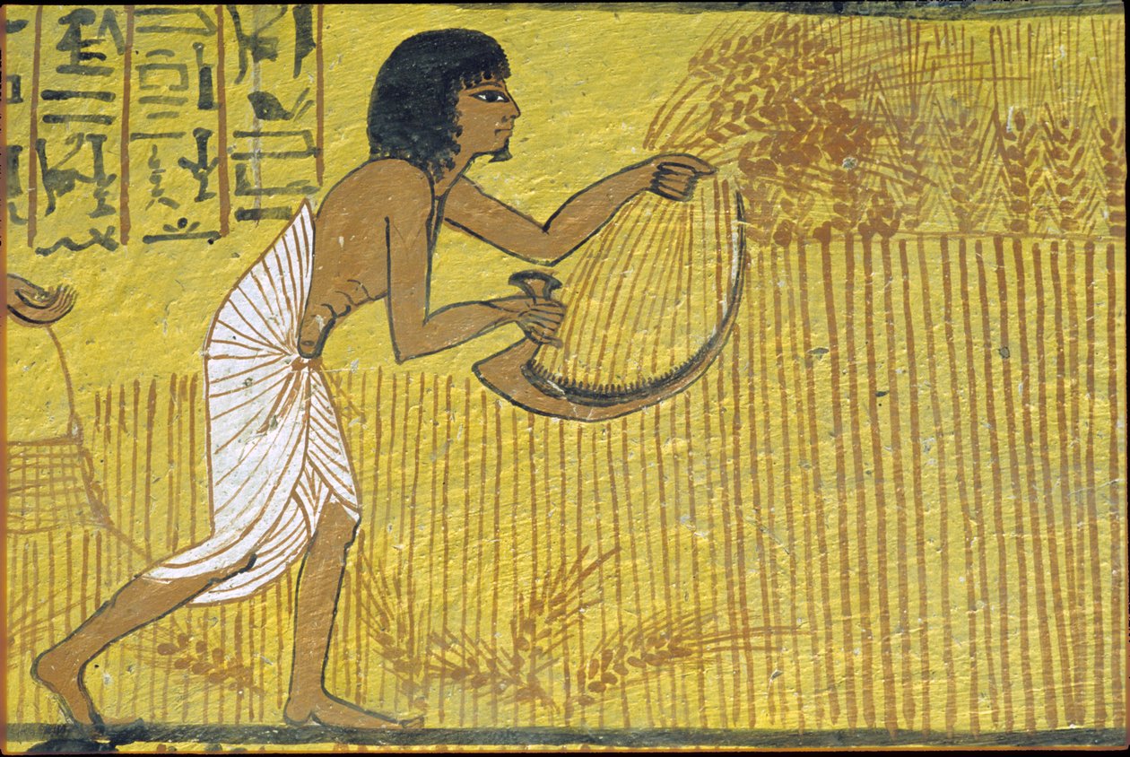 Égypte ancienne, peinture murale, tombe de Sennedjem, tombe des Nobles, Thèbes, Deir el Medina - Egyptian Egyptian