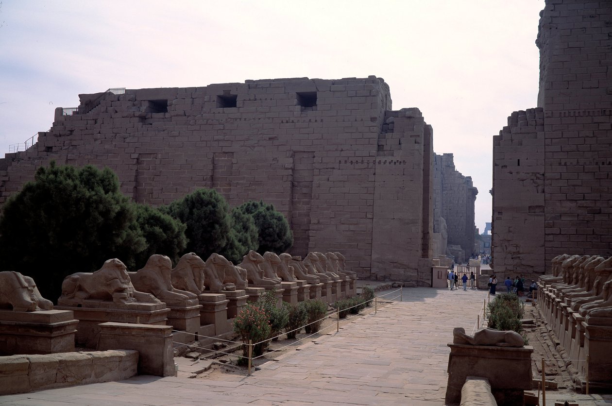 Antiquité égyptienne : allée (dromos) des criosphinx à Karnak, Louxor, Égypte - Egyptian Egyptian