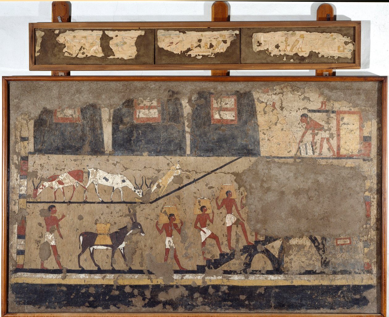 Antiquité égyptienne : le transport du blé sur le dos des mules et des hommes - Egyptian Egyptian