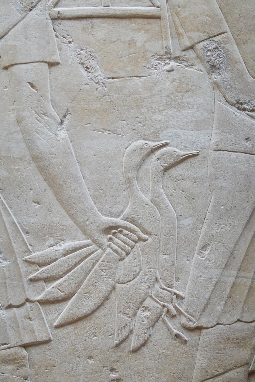 Main tenant 2 oies par les ailes, tombe de Ramose - Egyptian Egyptian