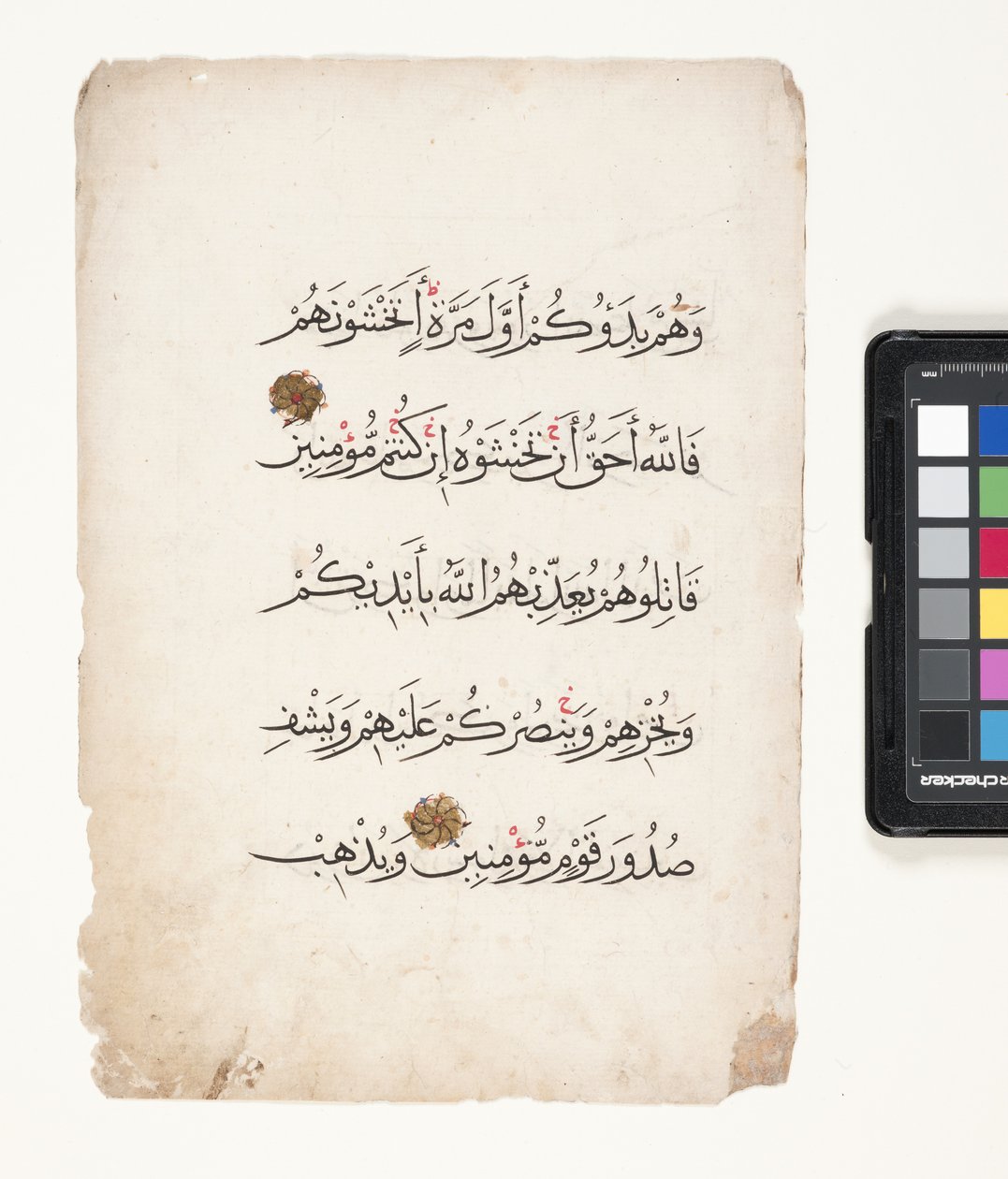 Page d