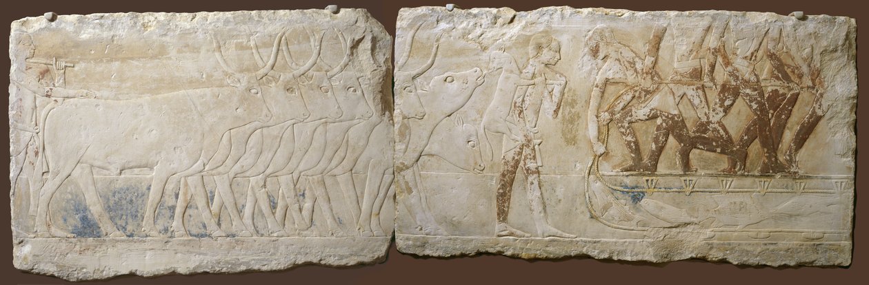 Relief de paysans conduisant du bétail et pêchant, Ancien Empire, 2450-2290 av. J.-C. - Egyptian School