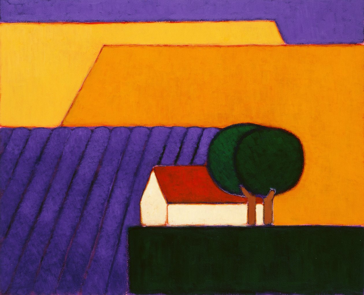 Champ de Lavande, Provence, 2004 - Eithne Contemporary Artist Donne
