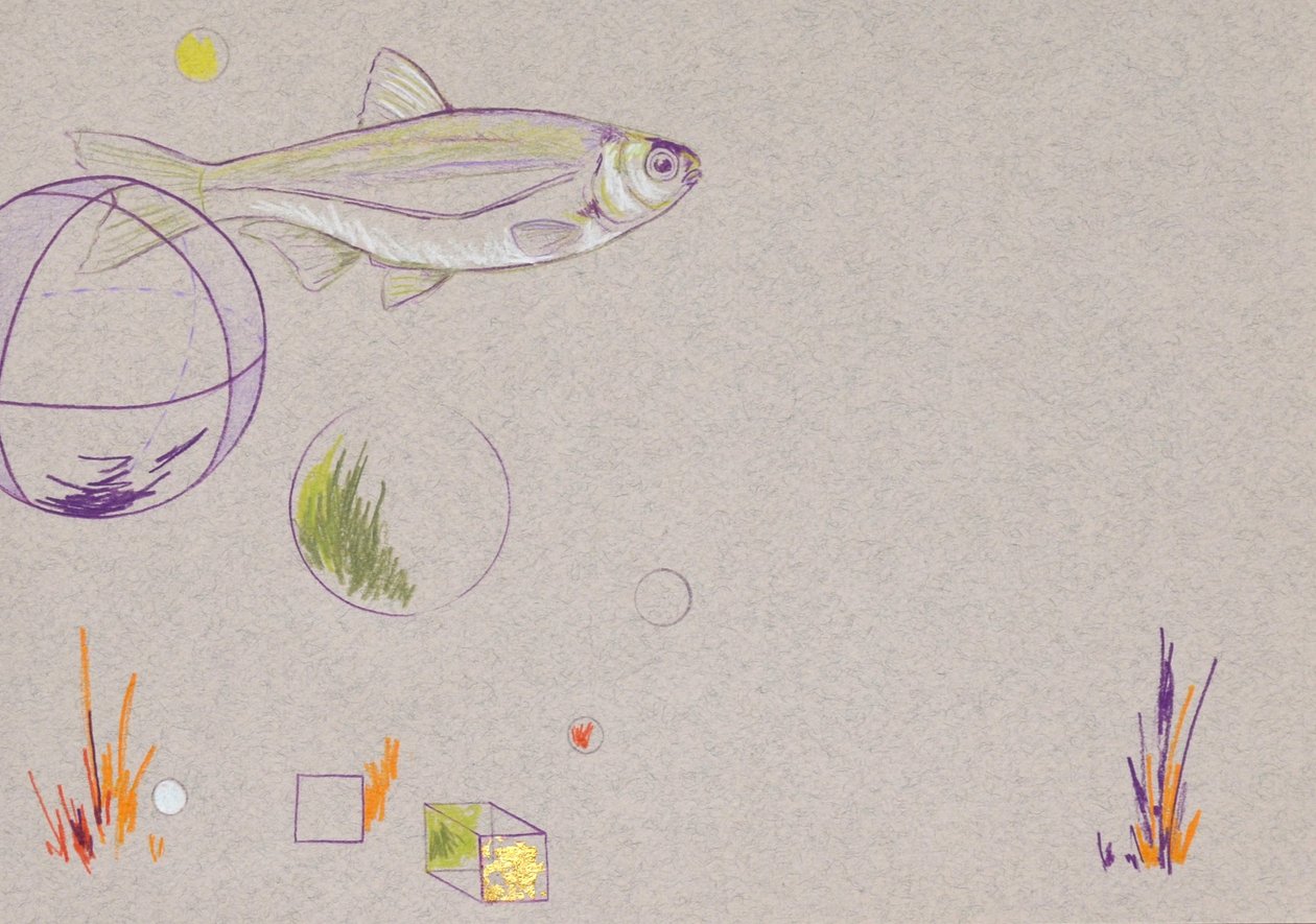 Floating, 2014 (crayon aquarelle et feuille d