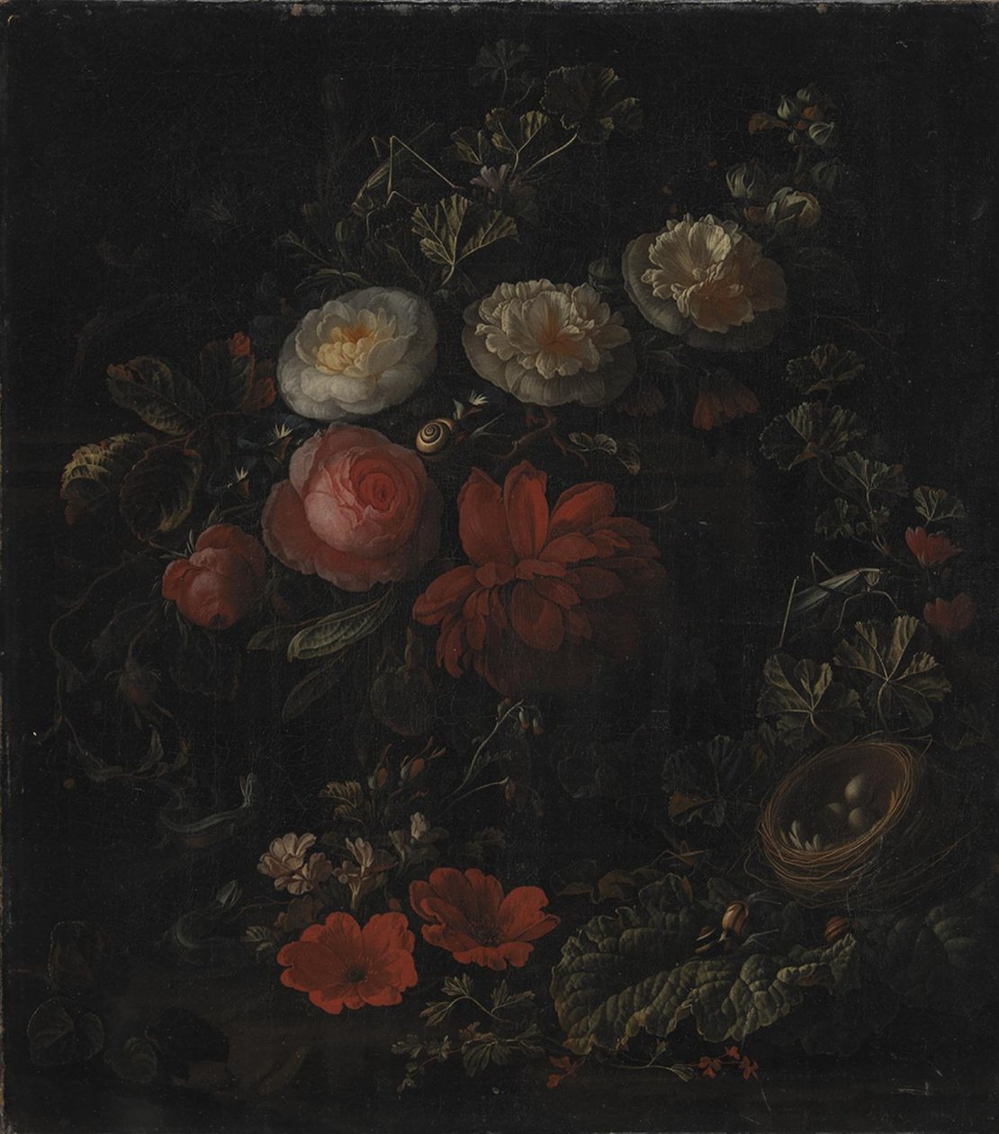 Fleurs - Elias van den Broeck