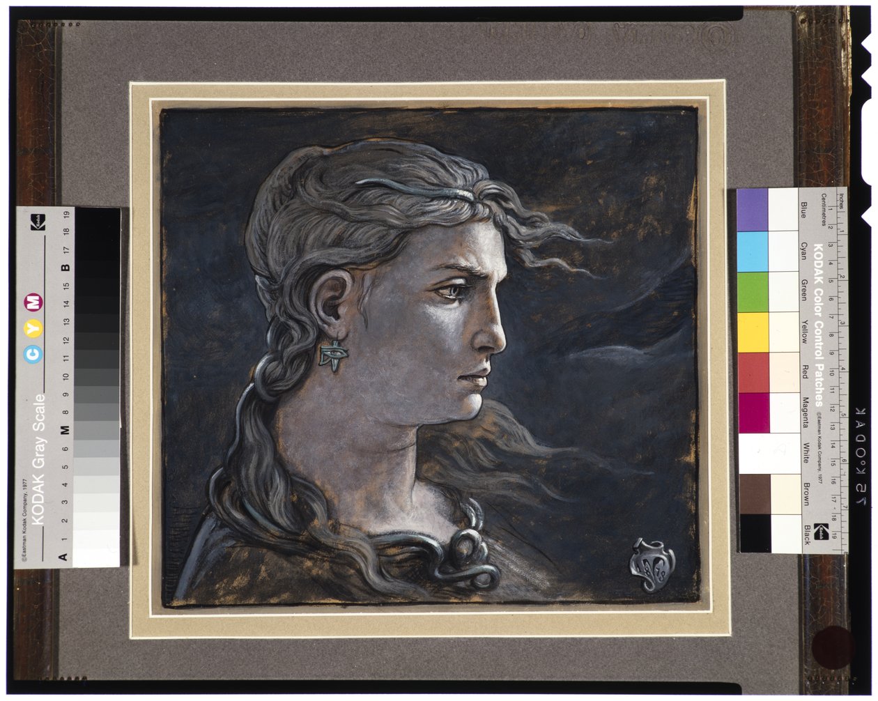 Tête de Méduse, 1878 - Elihu Vedder