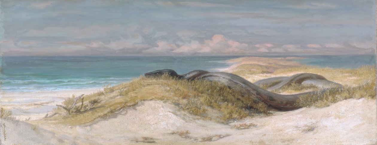 Grotte du serpent de mer - Elihu Vedder