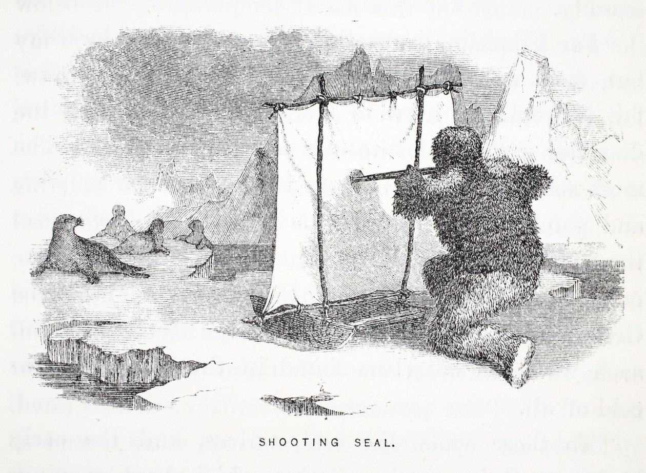 Chasse au phoque, illustration de 