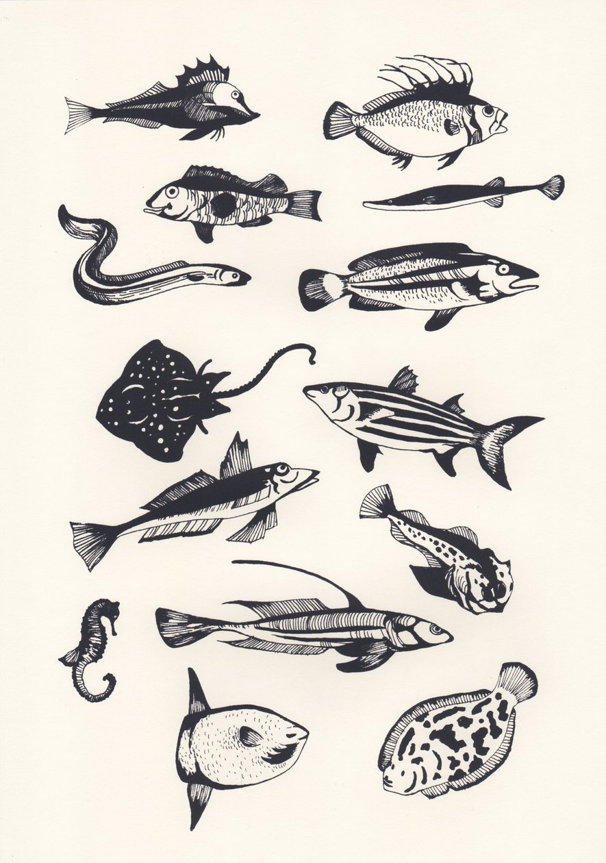 Poisson monochrome - Eliza Southwood
