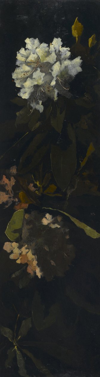 Rhododendrons - Elizabeth Boott Duveneck
