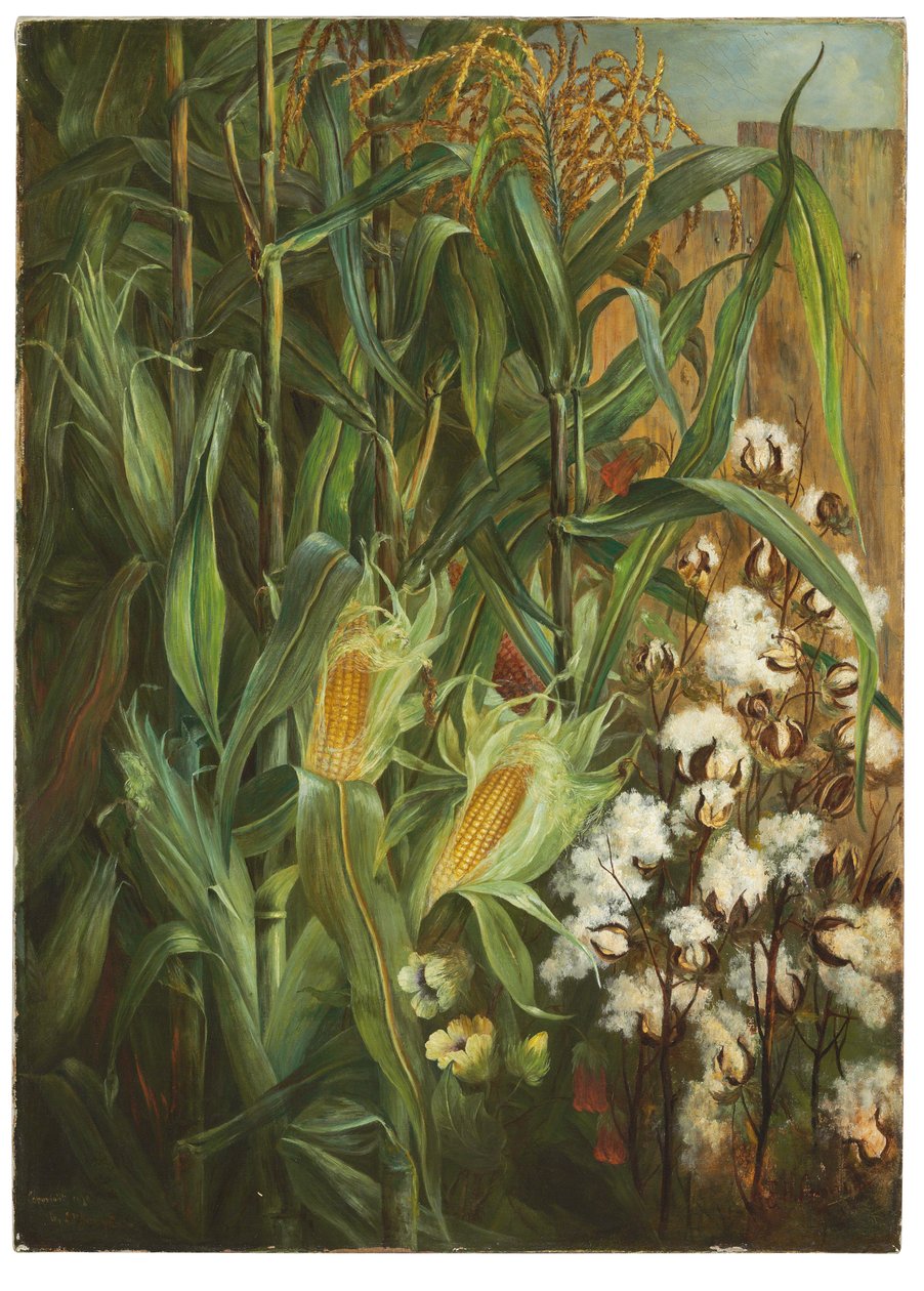 Les Deux Rois : Maïs et Coton - Elizabeth H. Remington