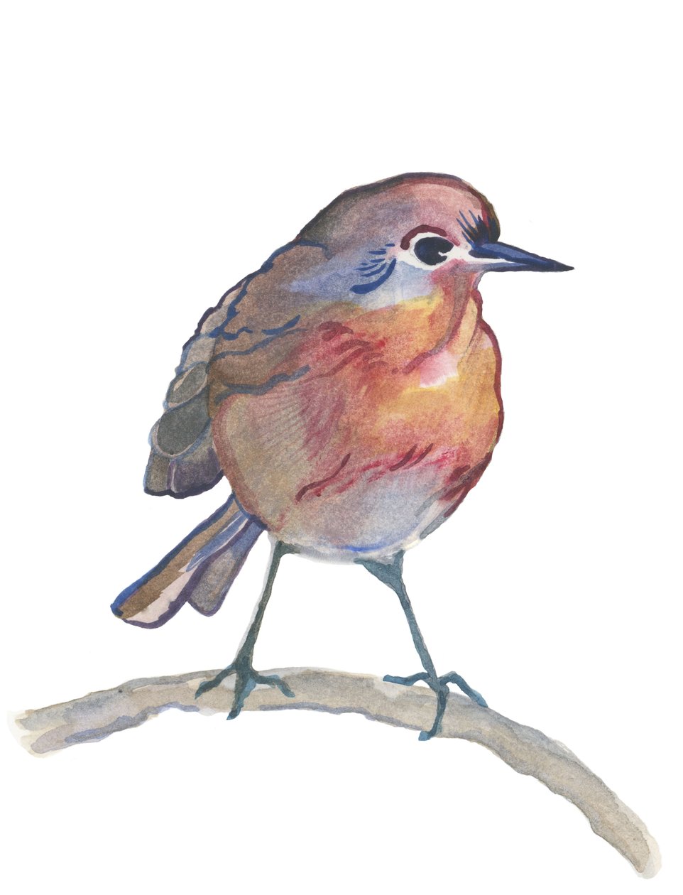 Robin, 2017 (aquarelle) - Elizabeth Rider