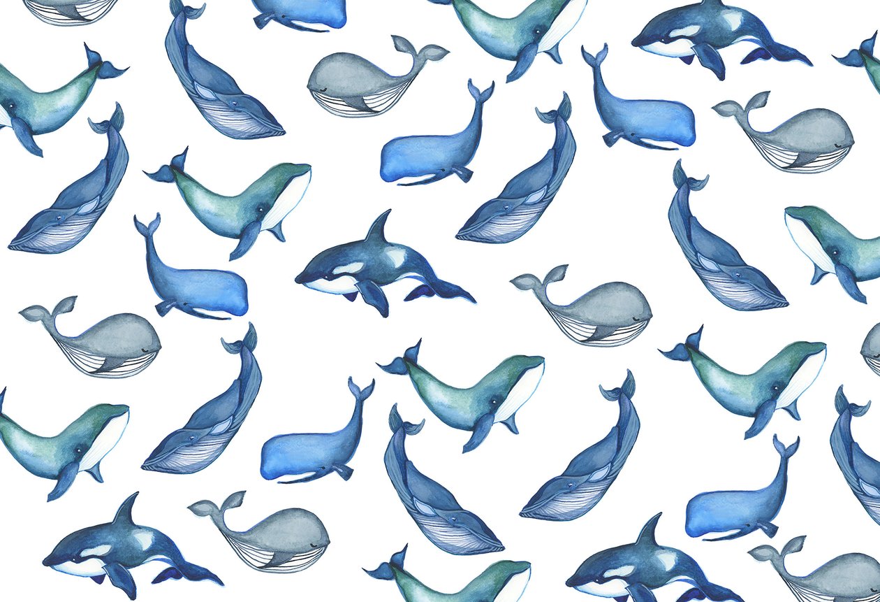 Baleines, 2017 (aquarelle) - Elizabeth Rider