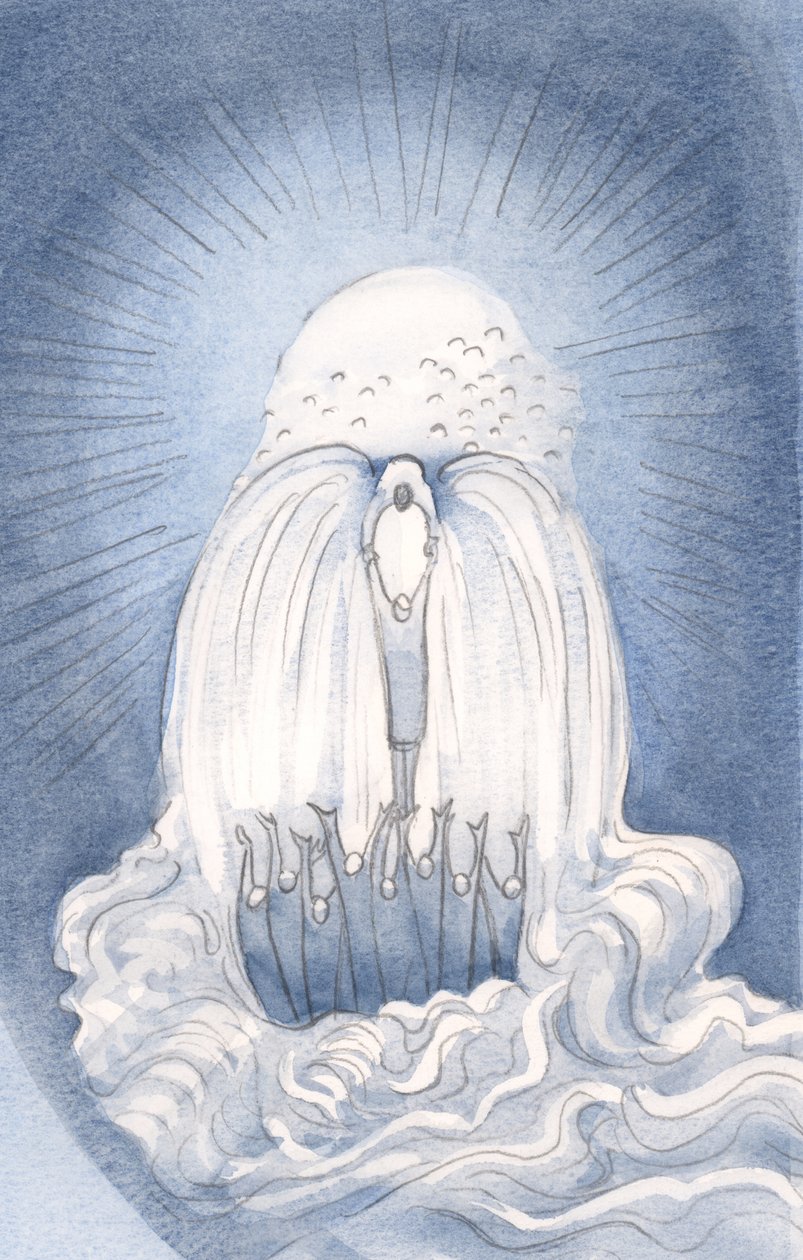 Le Christ est une 