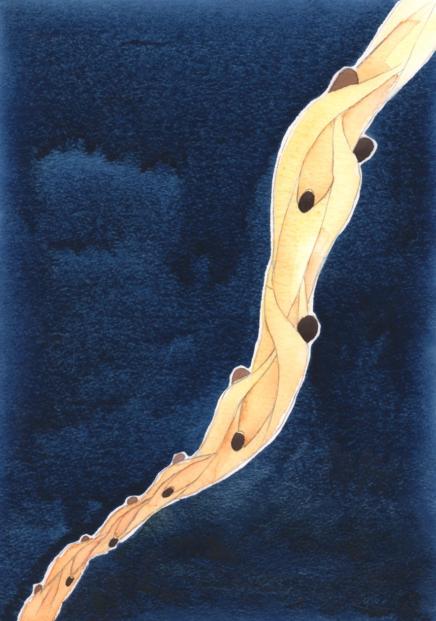Nos intercessions pour les Saintes Âmes du Purgatoire, au nom de Jésus, sont comme une corde qui les tire vers le ciel, 2002 - Elizabeth Wang