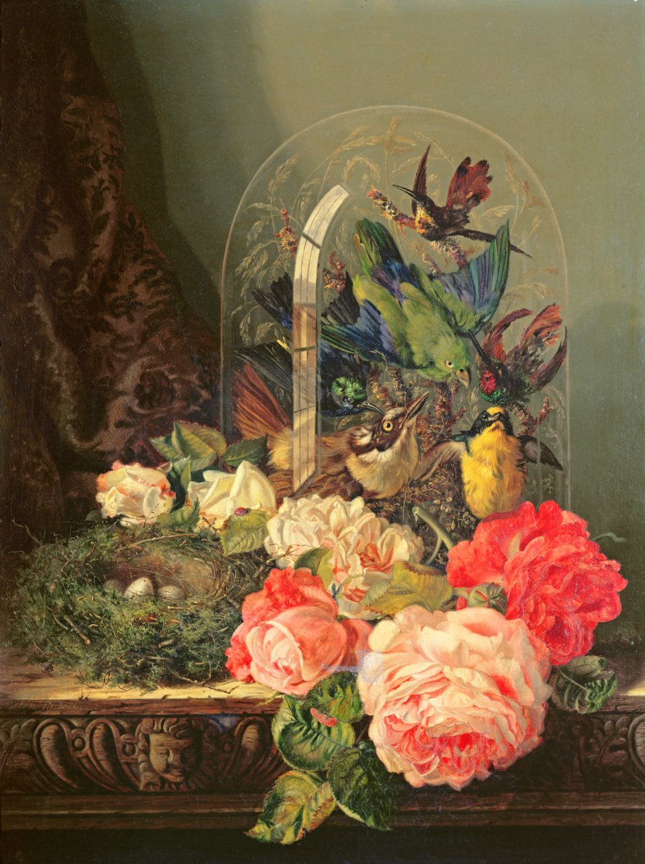 Nature morte d