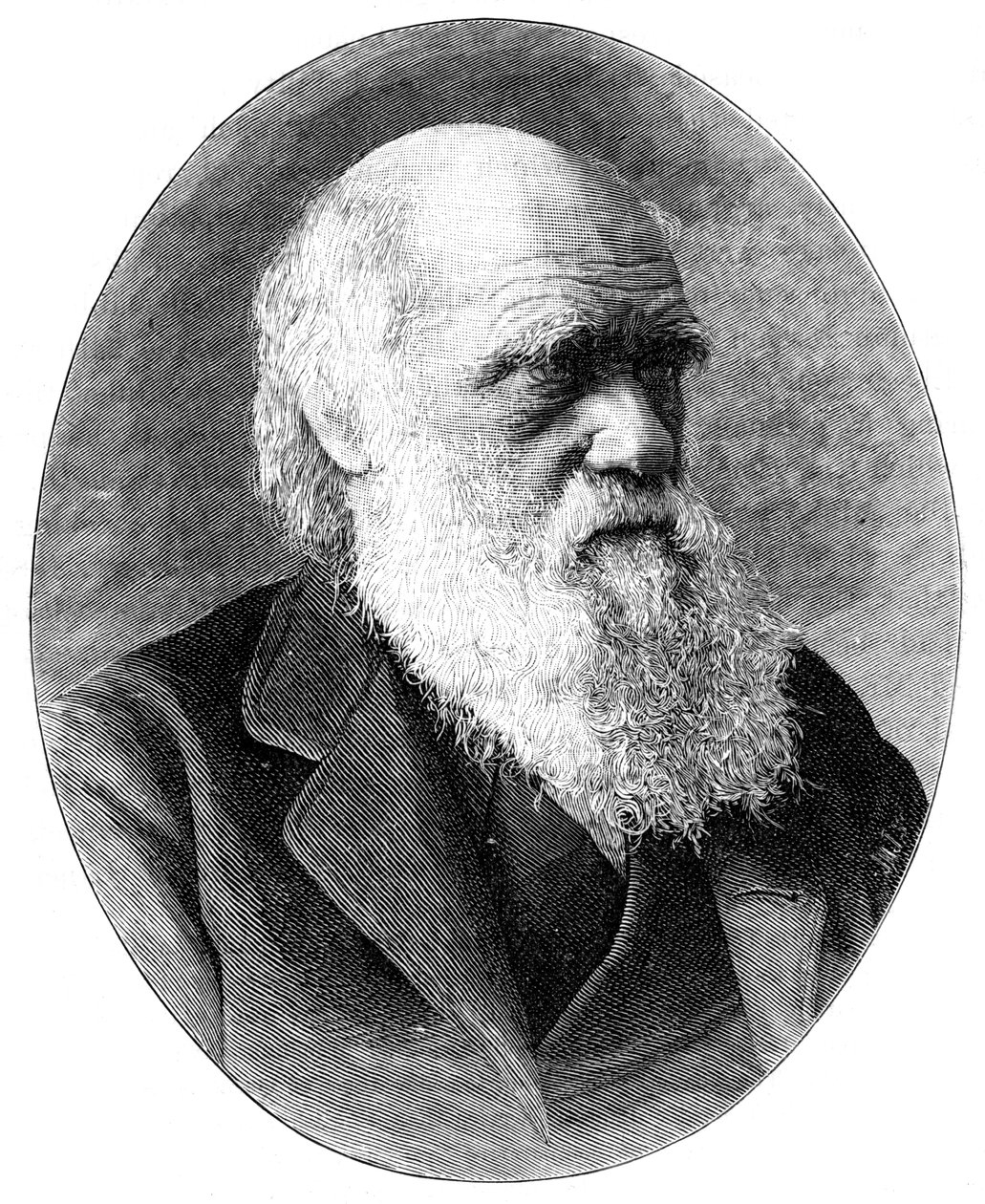 Charles Darwin, naturaliste anglais du 19ème siècle, 1900 - Elliott and Fry