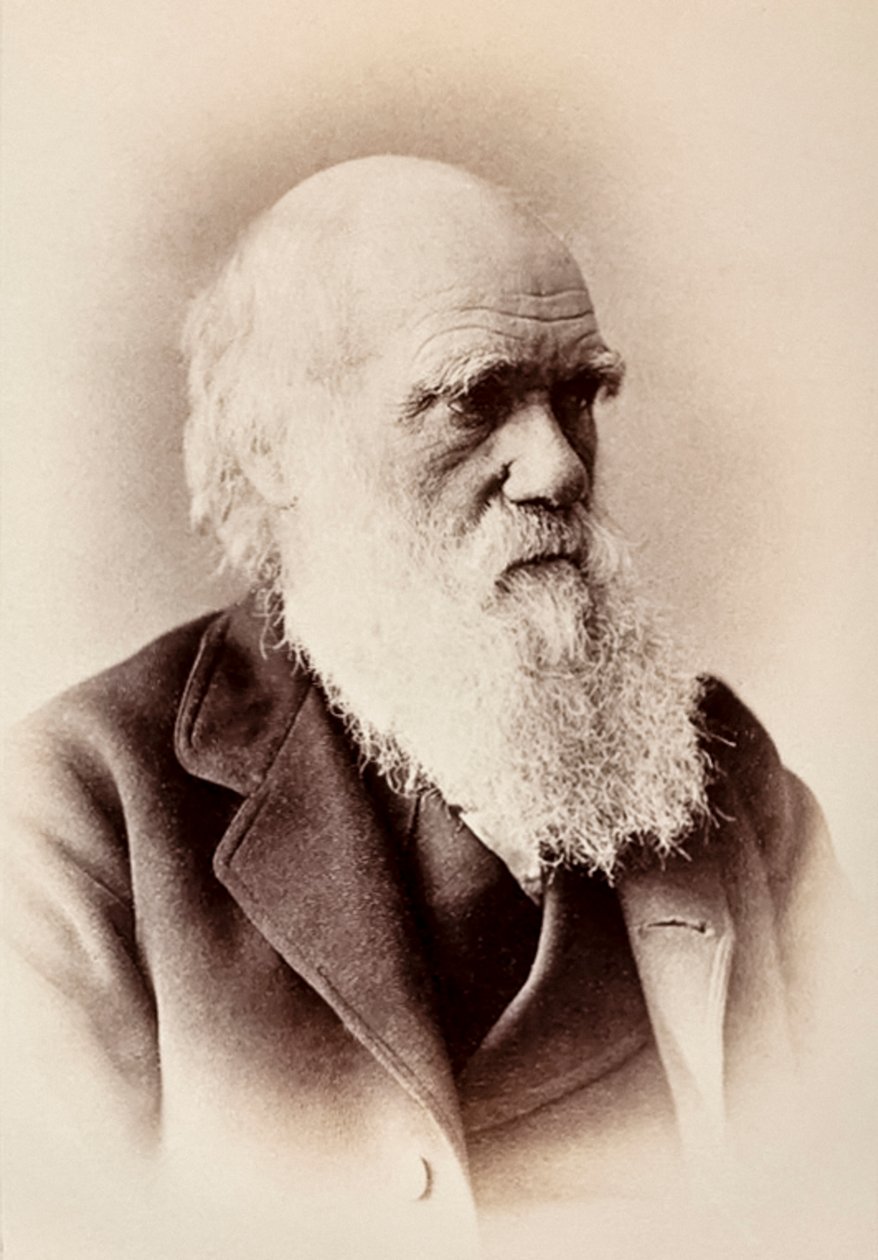 Charles Darwin : naturaliste anglais - Elliott und Fry Studio